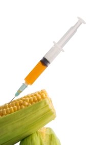 GMO Foods