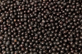 Acai berry is high in antioxidants